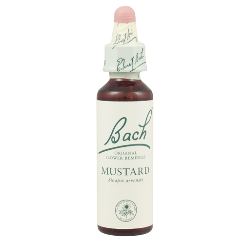 BFR Mustard